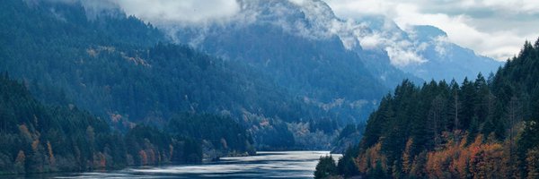 laneelectric Profile Banner