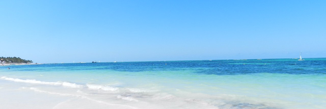 Verónica Cañas A. banner