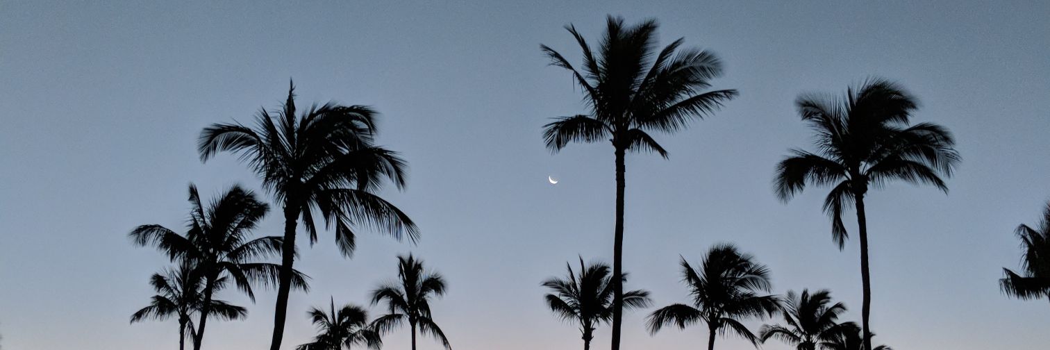 chiz32's profile banner image
