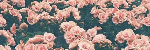 romiabc's profile banner image