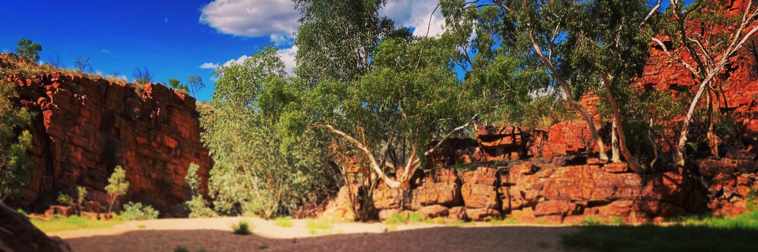 freeradicalgav's profile banner image