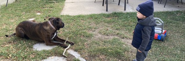 Notthebeebs Profile Banner