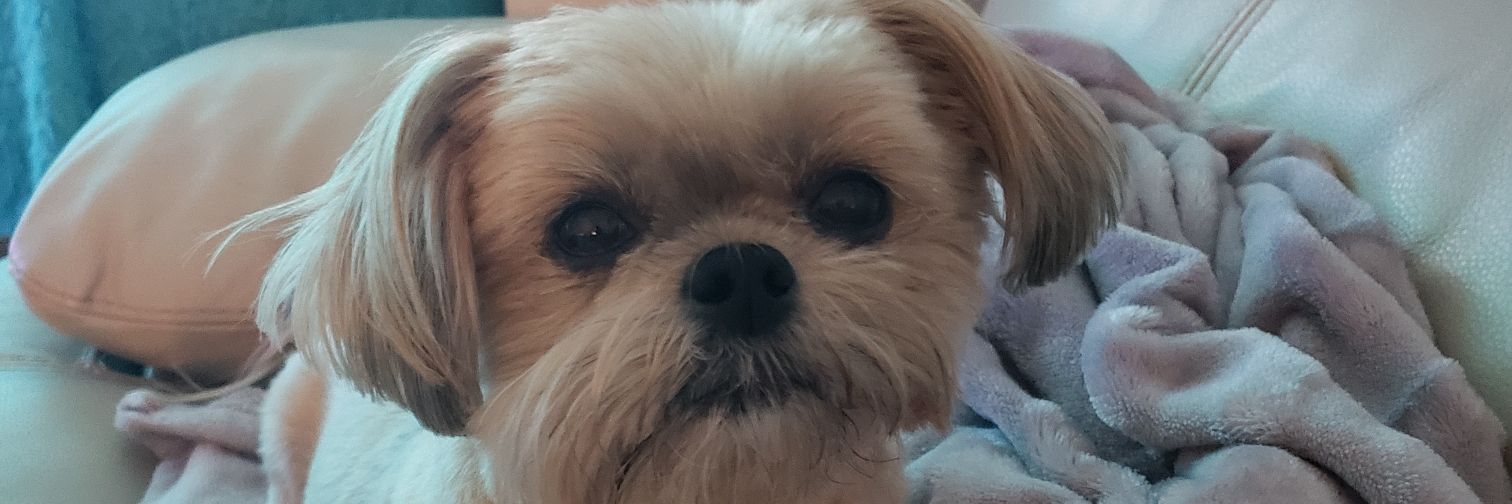 DrAlexAmanda's profile banner image