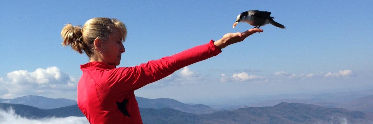 LaniePeg's profile banner image