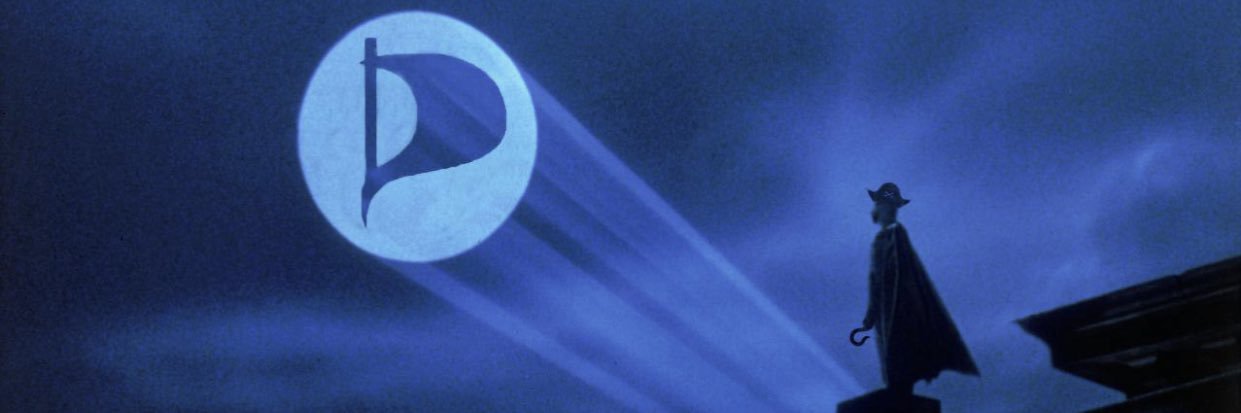 United States Pirate Party🏴‍☠️ banner