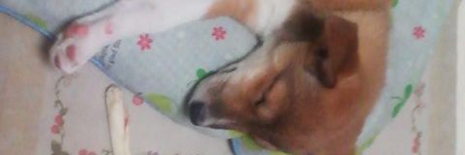 babe_86's profile banner image