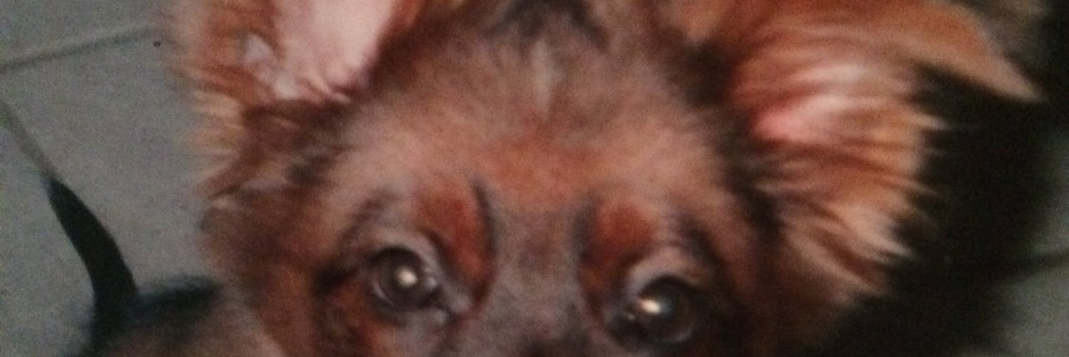 nunesy_'s profile banner image