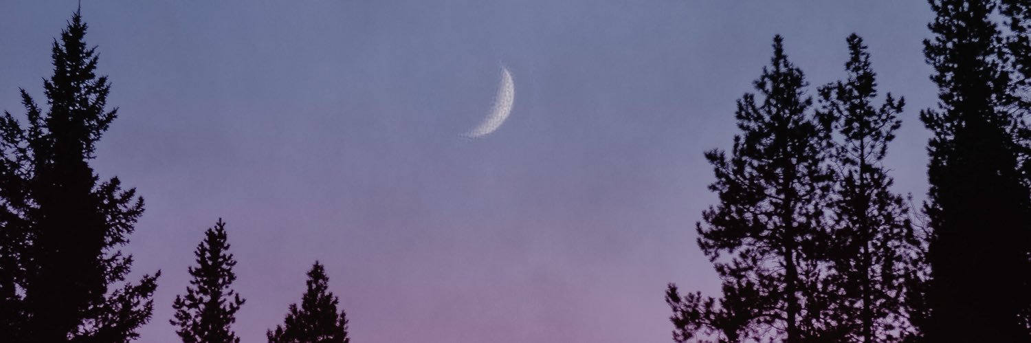 brittysmalls's profile banner image