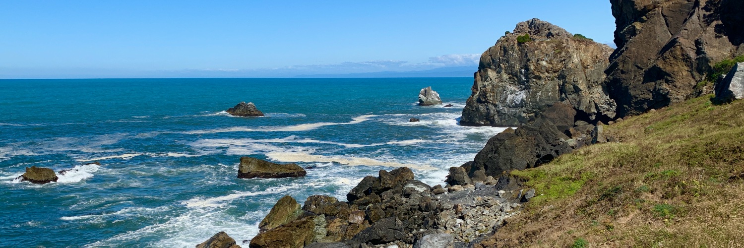 Thomas M. Lee banner