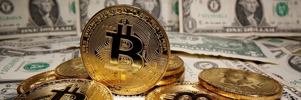 cryptoMind banner