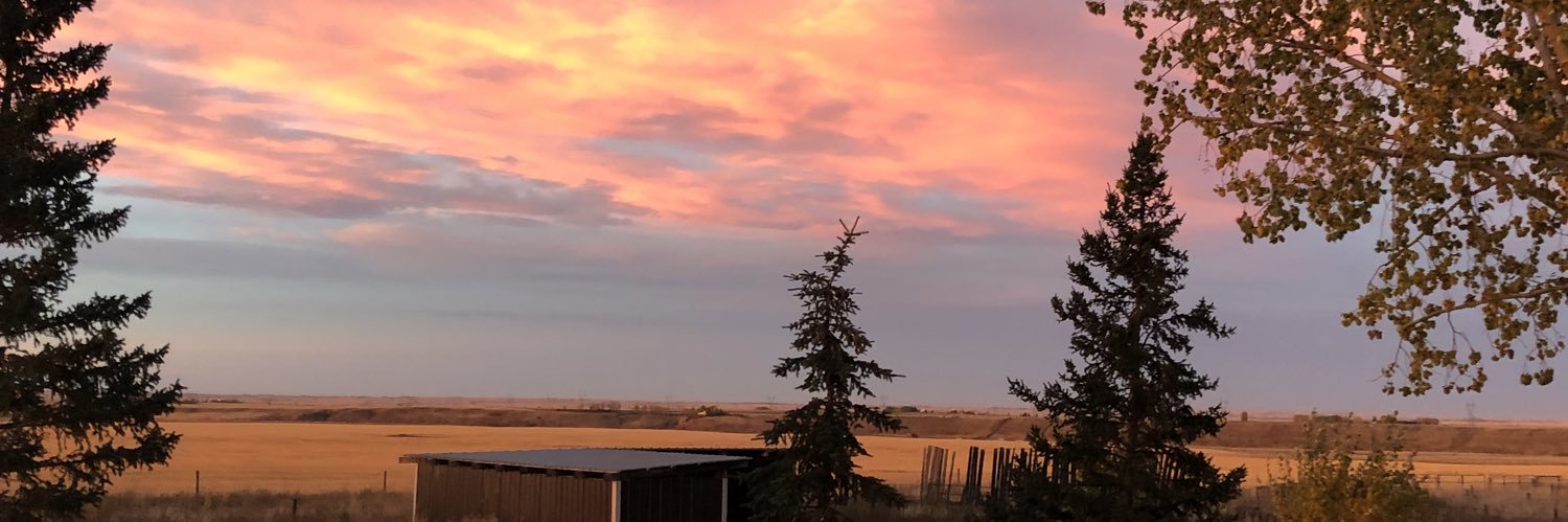 Caroll62's profile banner image