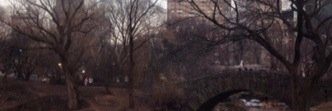 randyurv's profile banner image