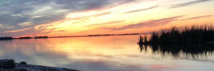 kinchy62's profile banner image