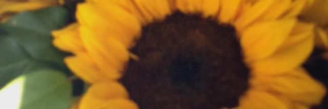 MissRiss84's profile banner image