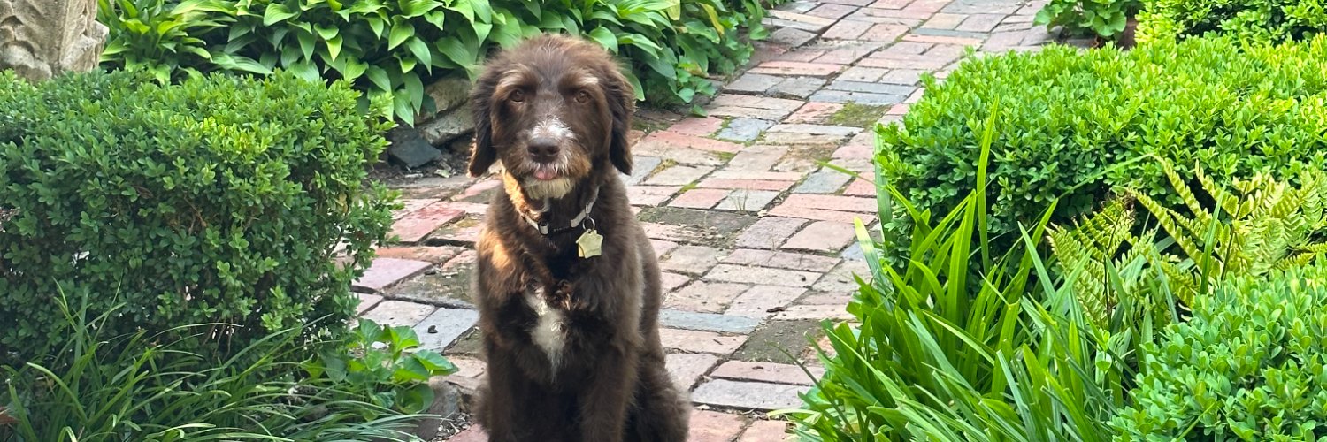 Pamela Callahan, Ph.D. banner