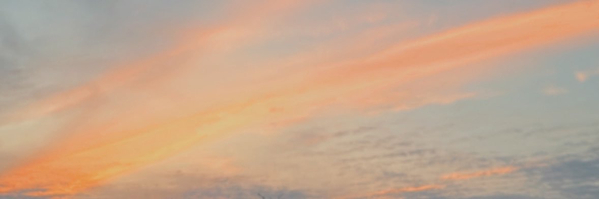 Jaileenie's profile banner image
