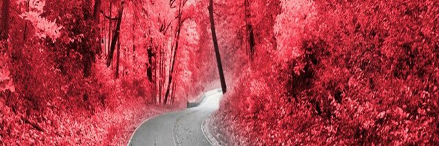 ItsRichToYou's profile banner image