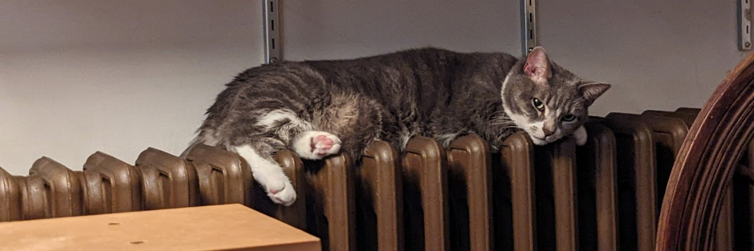 Eric Fowler (Halvorson) 🌈🐿️ banner