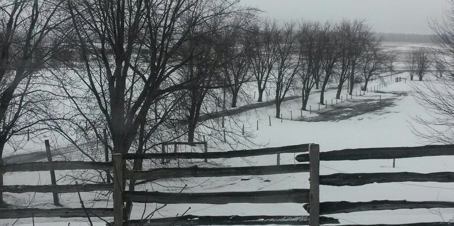 MBFarmGirl's profile banner image