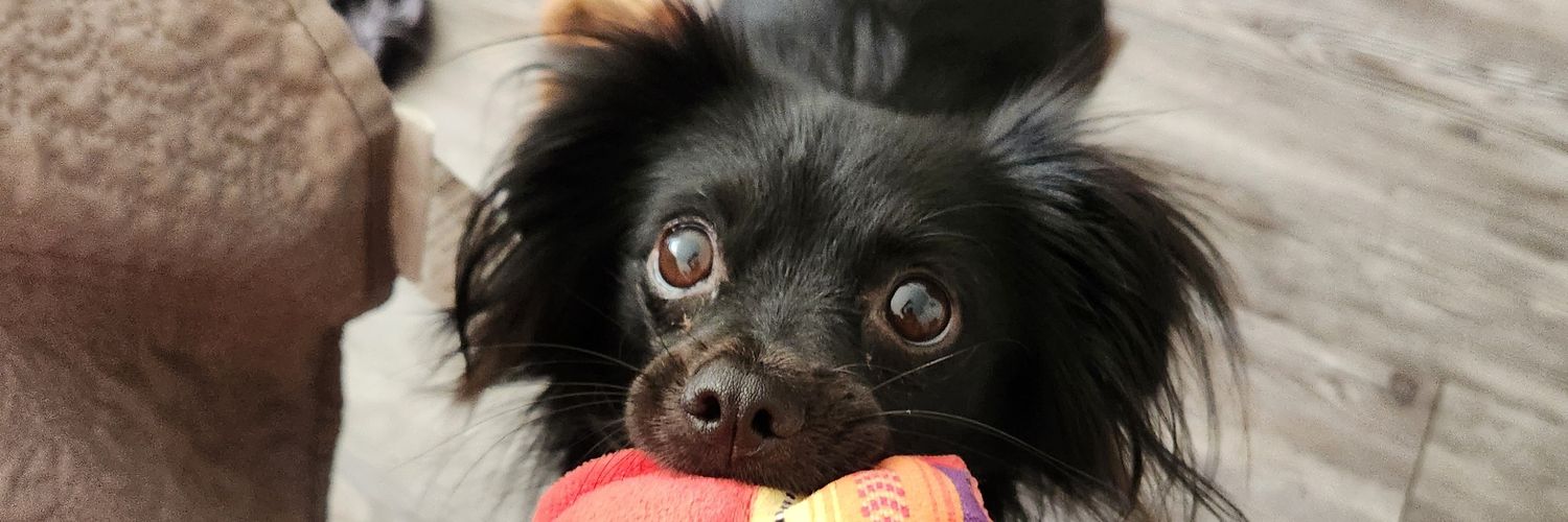 AngieeeMima's profile banner image