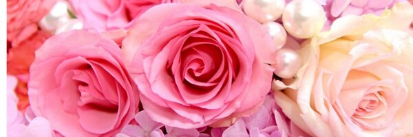 smhowa Profile Banner