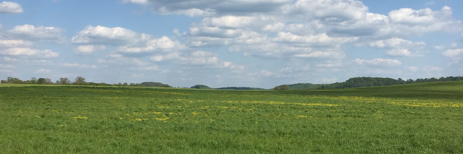 DeeTN61's profile banner image