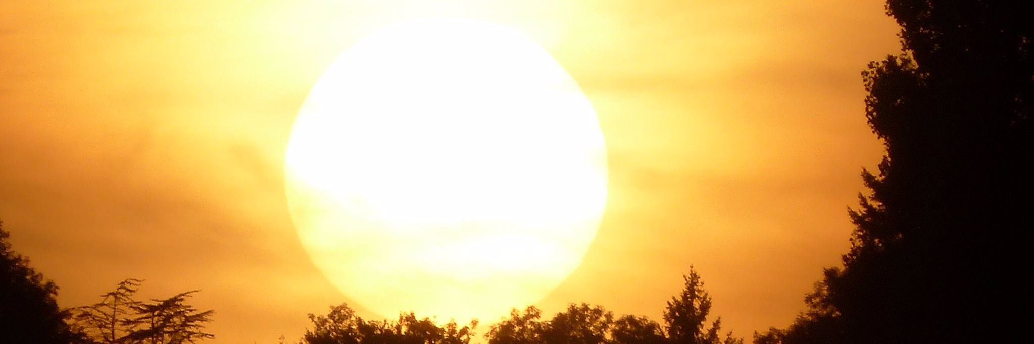 MBaujard's profile banner image