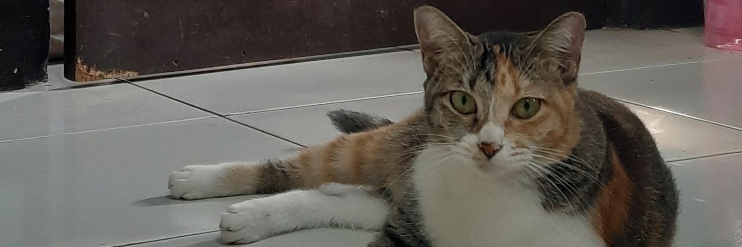 moemoerizal's profile banner image
