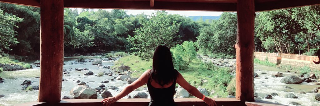 SeleneSteffani's profile banner image
