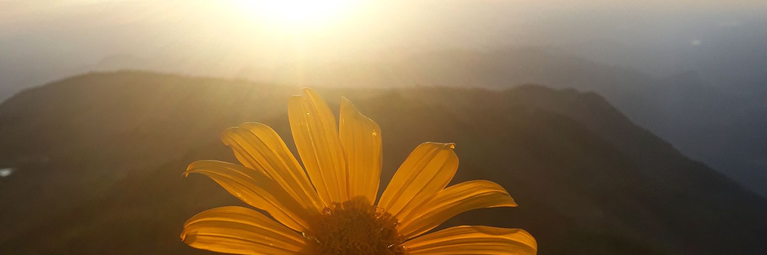 EuDebys's profile banner image