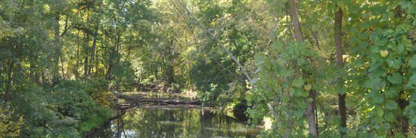 PhotoBugDeb Profile Banner