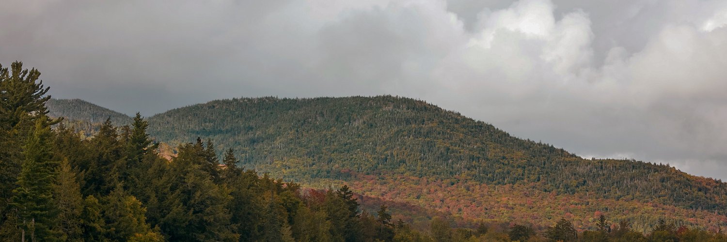 Charlie Razook banner