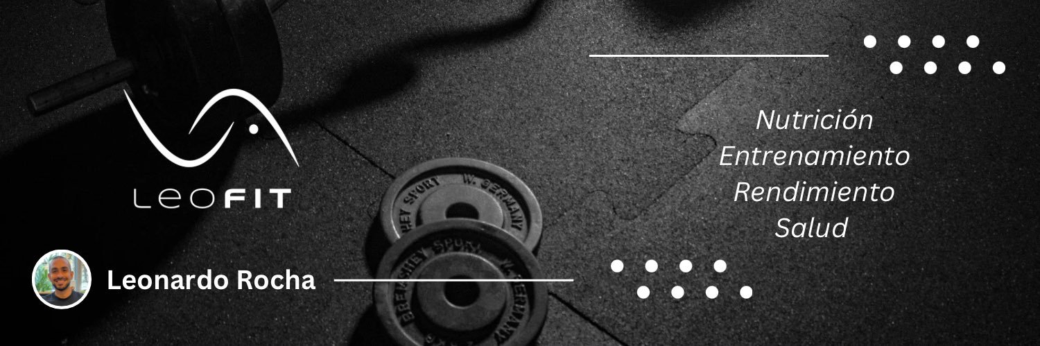 Leonardo Rocha banner