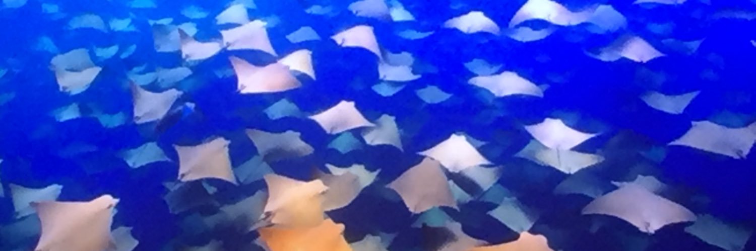 rwmcgeeMN84's profile banner image