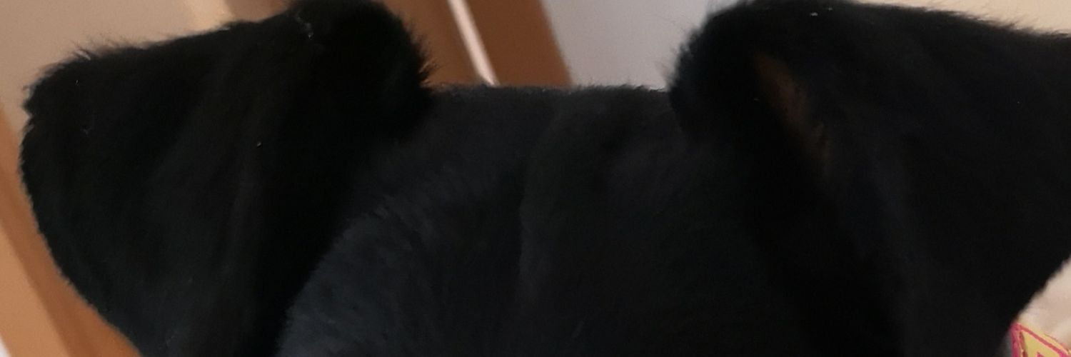 DaliaRojas's profile banner image