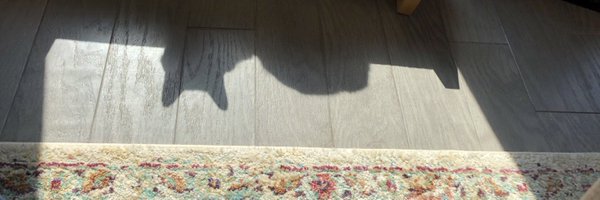 WordsOfSarah Profile Banner