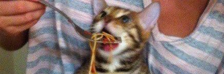 SoDisPhil's profile banner image