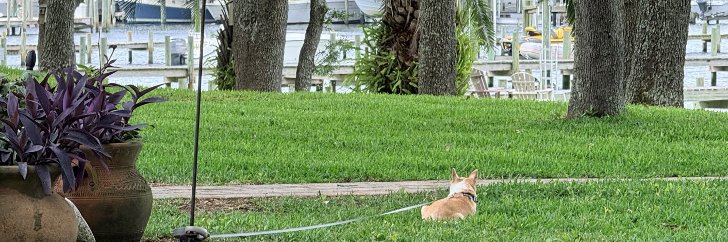 jaxgators's profile banner image