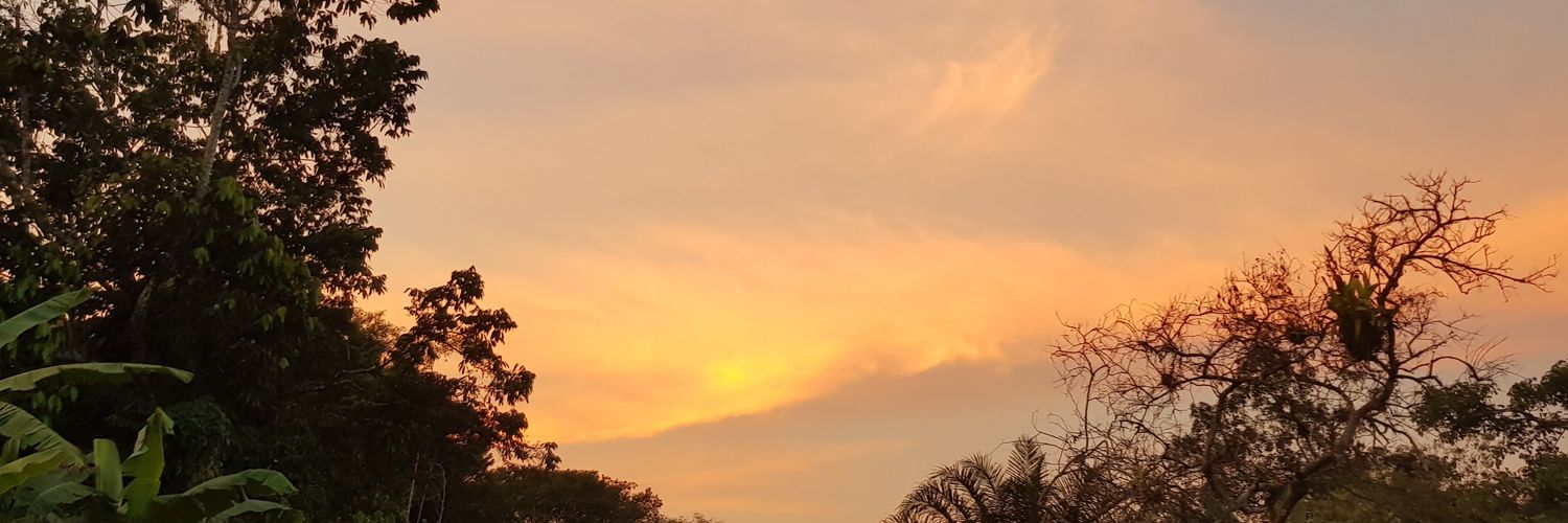 Lacotf's profile banner image