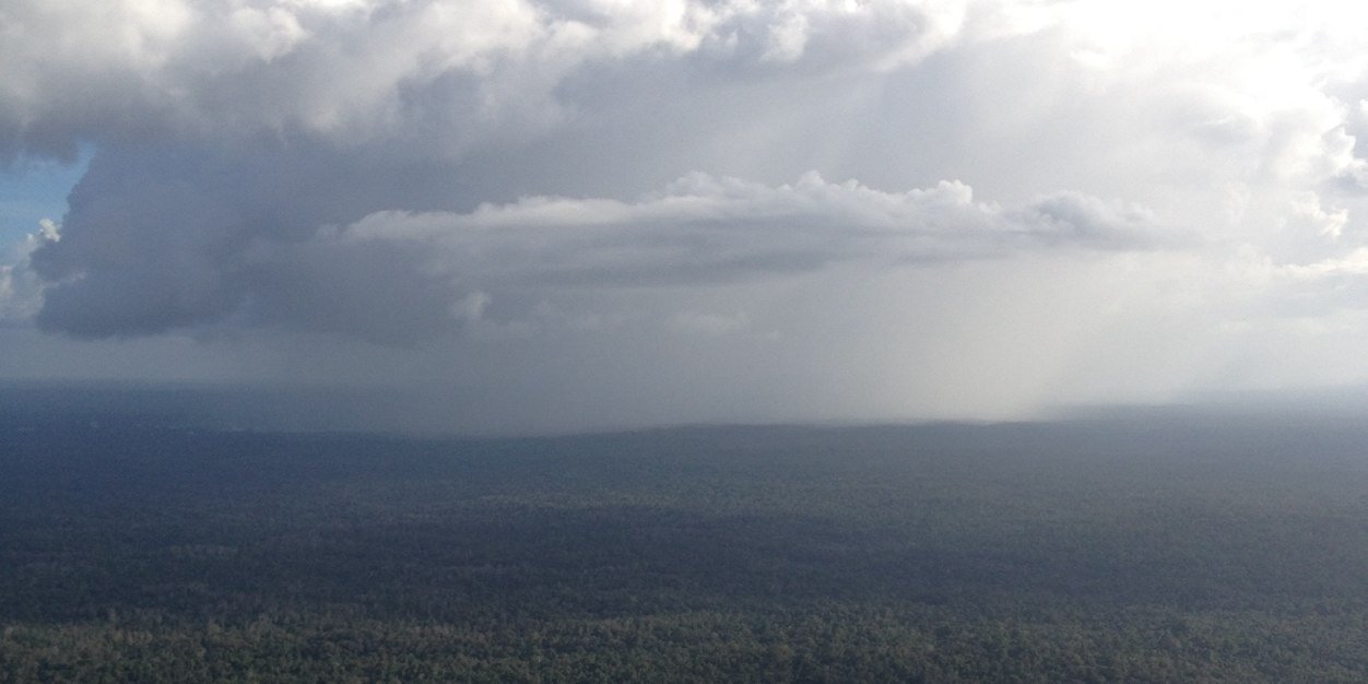 Grant Christie banner