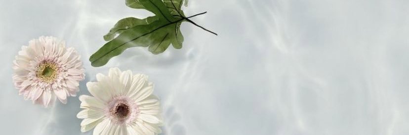 pipipimple's profile banner image