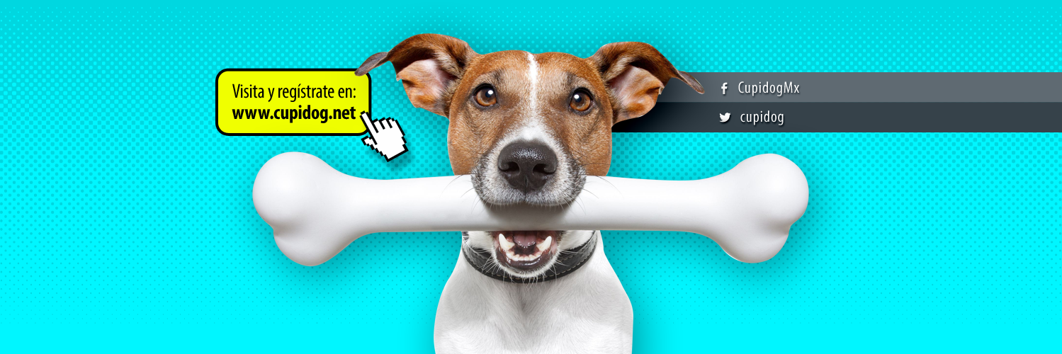 Cupidog's profile banner image