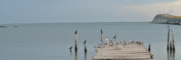 CesarOmarsito Profile Banner