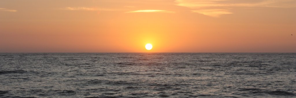 jftor's profile banner image