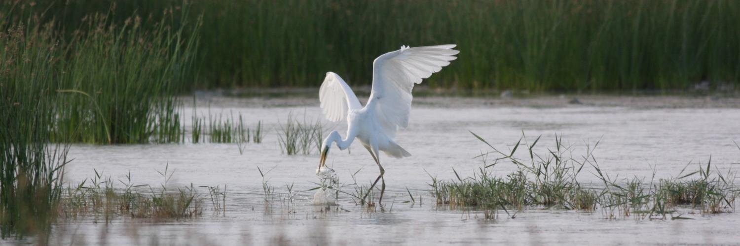 Utku Perktaş 🪶 banner