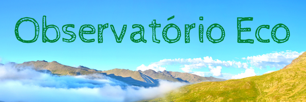 observatorioeco's profile banner image
