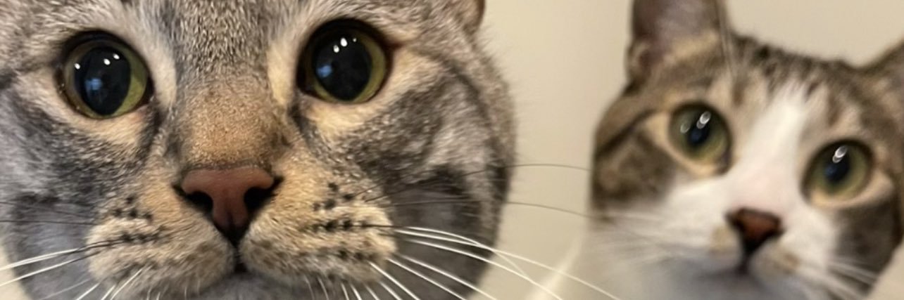 sakaiman's profile banner image
