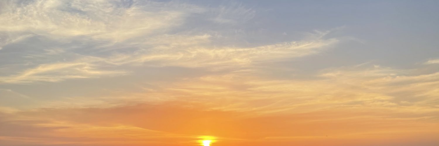 anonimamed's profile banner image