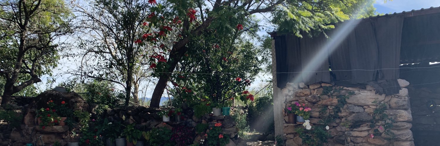 carmenfigueroa0's profile banner image
