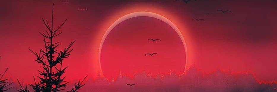 SailorCrows's profile banner image